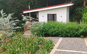 Orosi Al Natural Hotel Boutique